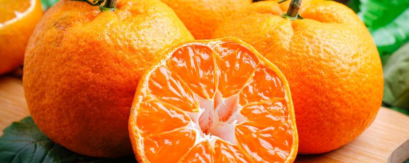 柑橘果实的生长发育适宜温度是多少（柑橘果实的生长发育适宜温度是多少度）