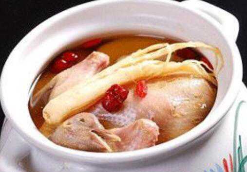 鸽子汤的功效与作用 鸽子汤怎么做好喝