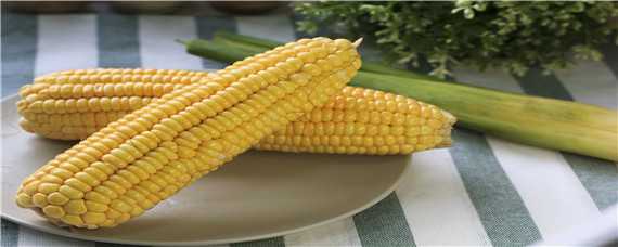 安玉706玉米品种