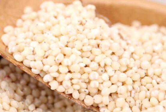 高粱米的功效与作用，高粱米怎么吃 吃高粱米有什么功效