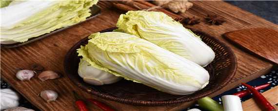 白菜最低生长温度是多少（大白菜生长的最低温度是多少?）