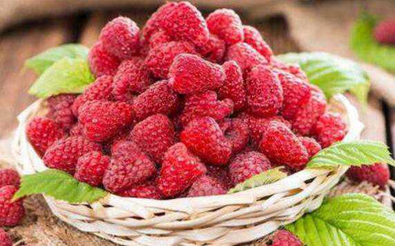 树莓和覆盆子的区别 树莓和覆盆子的区别树莓 肝癌