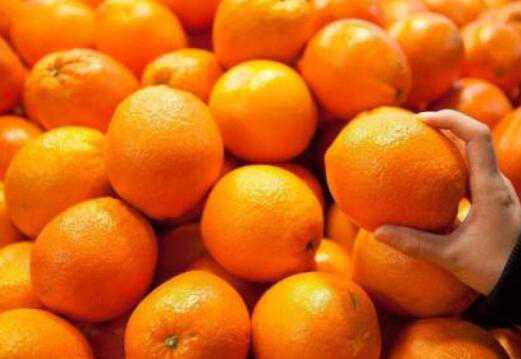 橘子和桔子的区别，吃橘子的好处（橘子和桔子的区别,吃橘子的好处和坏处）