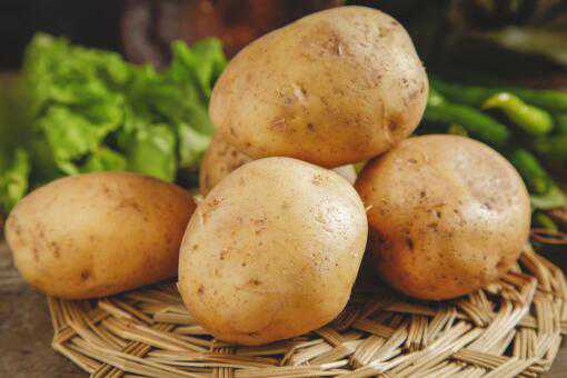 水培土豆的步骤有哪些 土豆水培的方法