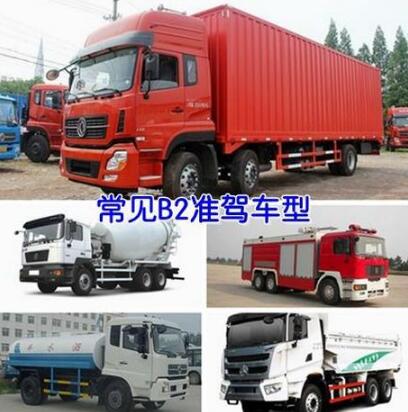 B1、B2驾驶证能开什么车?