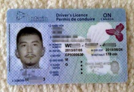 中国驾照在加拿大能用吗?要注意什么?