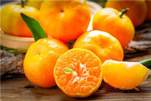 种橘子一年赚多少钱