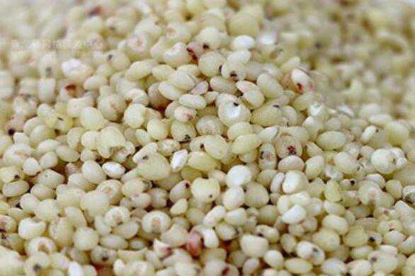 秫米与高粱米的区别，吃秫米的好处（秫米是高粱米还是粘高粱米）