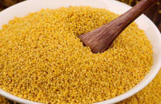 白小米和黄小米的区别 白小米和黄小米的区别是什么