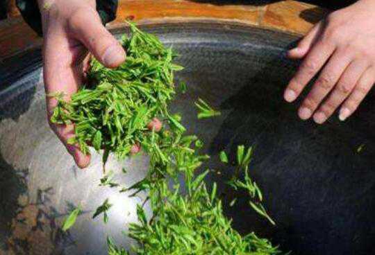 如何炒茶叶是绿色的，炒茶叶用什么方法方式炒好