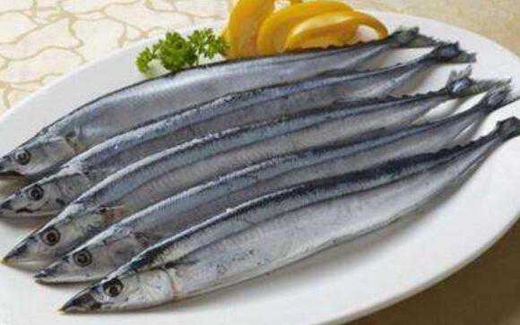 刀鱼和带鱼的区别 吃刀鱼的好处