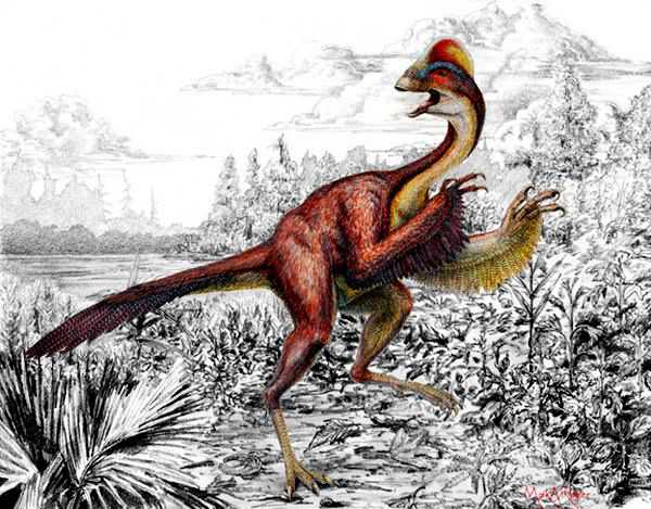 明明是恐龙，凭啥却被叫做鸡 鸡真的是恐龙变的吗