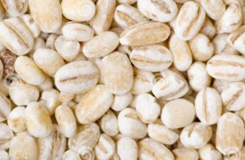 大麦米的功效与作用 大麦米的功效与作用及禁忌
