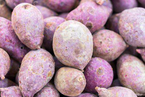 紫薯的功效与作用有哪些 紫薯的功效与作用有哪些禁忌