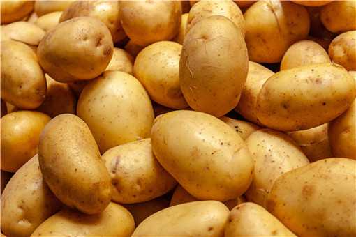 土豆怎么保存