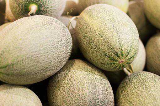 哈密瓜是热性还是凉性水果