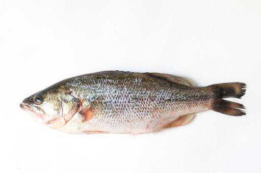 菜市场鲈鱼多少钱一斤 菜市场鲈鱼多少钱一斤2020