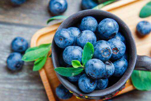 一亩地能收多少斤蓝莓 一亩地能收多少斤蓝莓呢