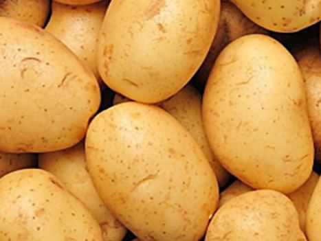 2020年土豆价格多少钱一斤