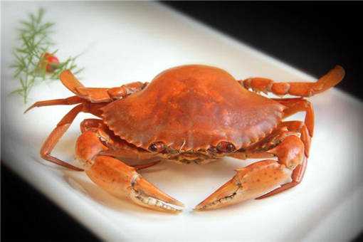 黄油蟹市场多少钱一只 今年黄油蟹多少钱一只