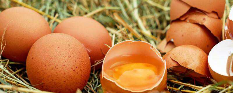 国内鸡蛋可以生吃吗 国内有生食鸡蛋吗