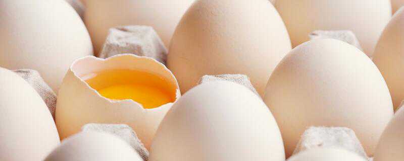 鸡蛋长毛了还能吃吗 冰箱里的鸡蛋长毛了还能吃吗