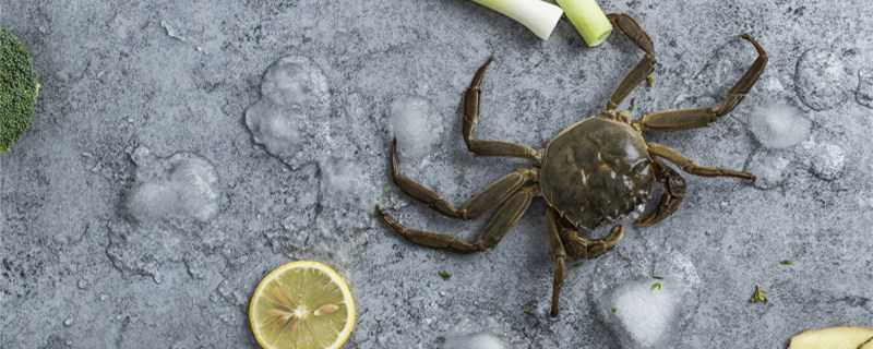 大闸蟹怎么繁殖？