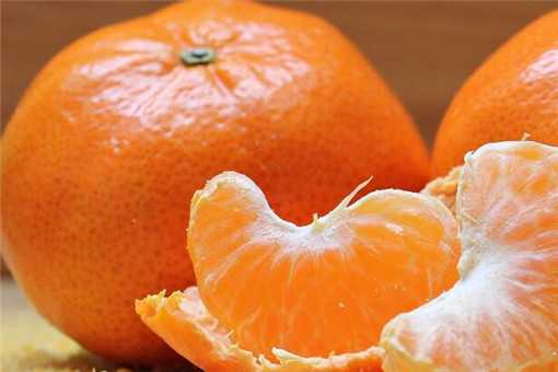2019橘子市场价格多少钱一斤（橘子多少钱一斤现在市场价2020）