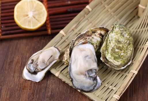 牡蛎价格大概多少钱一斤 牡蛎多少钱一公斤?