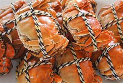 梭子蟹价格多少钱一斤