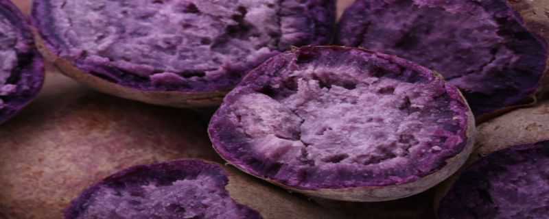 紫薯盆栽种植方法（紫薯怎么种好?紫薯的种植技术介绍）
