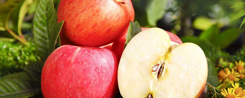 苹果褐斑病特效药有哪些 苹果褐斑病特效农药有几种
