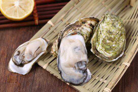 牡蛎多少钱一斤 牡蛎多少钱一斤市场价