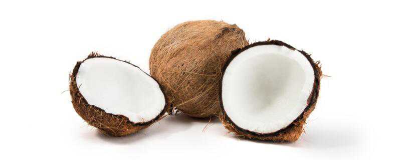 椰子是什么季节的水果 椰子是什么季节有