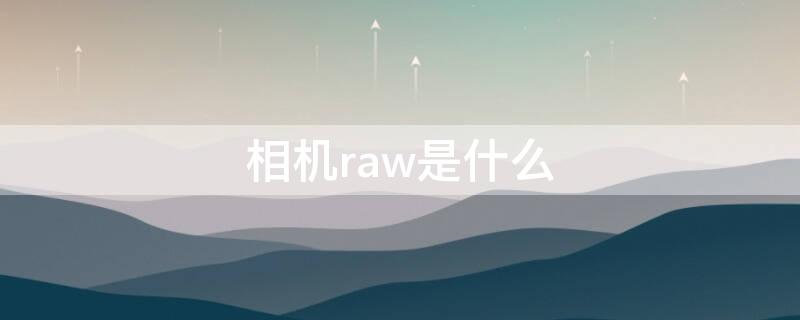 相机raw是什么