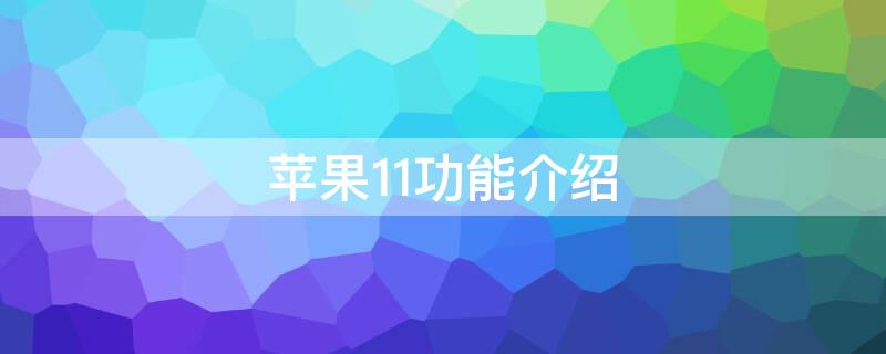 iPhone11功能介绍