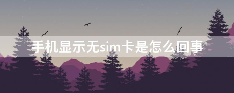 手机显示无sim卡是怎么回事