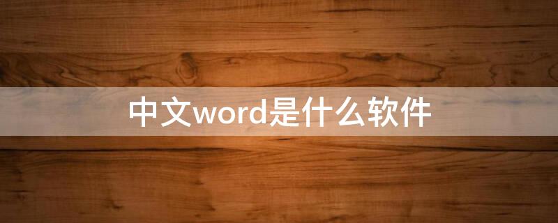 中文word是什么软件