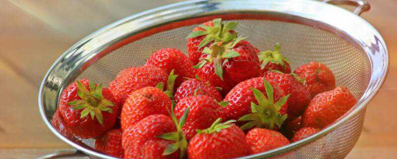 草莓园如何选择 草莓园如何选择种植