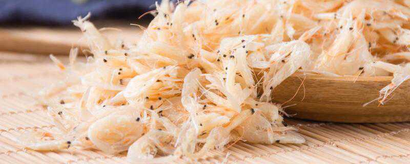 小虾米怎么养 小虾米怎么养大