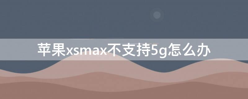 iPhonexsmax不支持5g怎么办