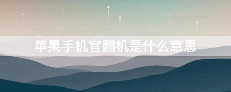 iPhone手机官翻机是什么意思