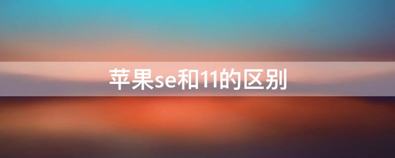 iPhonese和11的区别