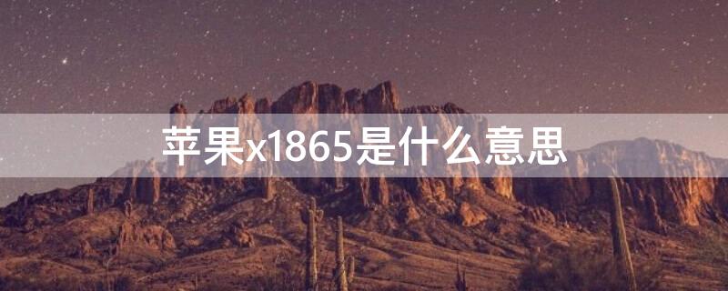 iPhonex1865是什么意思