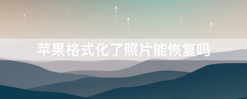 iPhone格式化了照片能恢复吗