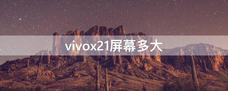 vivox21屏幕多大