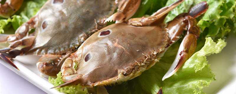 梭子蟹可以生吃吗 生梭子蟹哪些部位不能吃