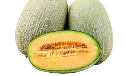 哈密瓜的种植条件是什么
