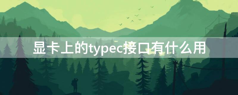 显卡上的typec接口有什么用