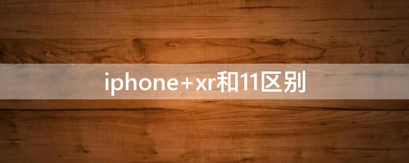 iPhone xr和11区别